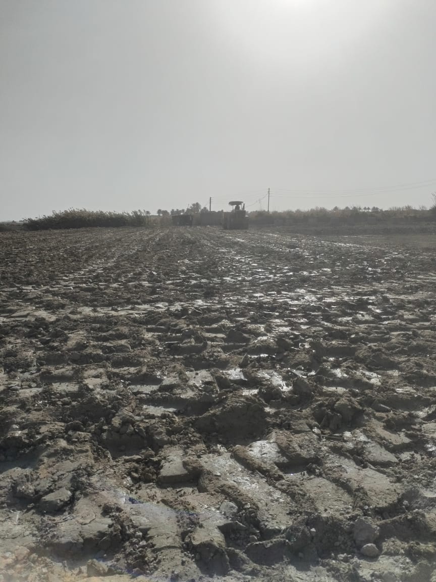 المرحلة الاولى